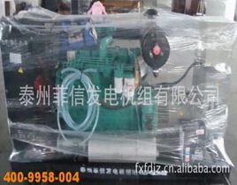 发电机组 发电机组